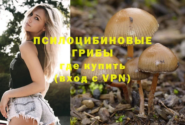 первитин Белокуриха