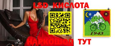 метадон Берёзовский