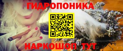 метадон Берёзовский