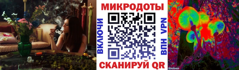 Галлюциногенные грибы Cubensis Городец