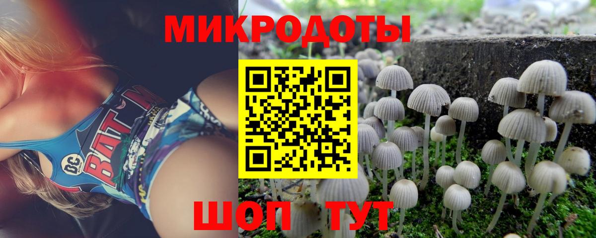 Галлюциногенные грибы прущие грибы  Вход с VPN  как найти наркотики  Городец  Галлюциногенные грибы Cubensis 