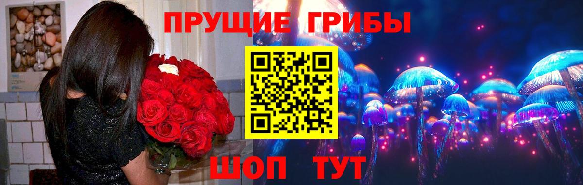 Галлюциногенные грибы прущие грибы Городец